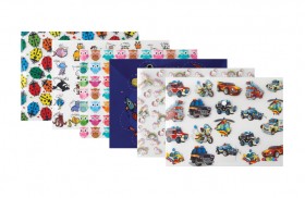 Baskılı Çıtçıtlı Dosya